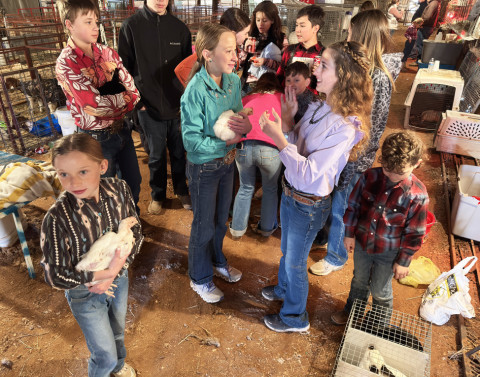 DICKENS LIVESTOCK SHOW
