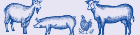 2022 Kent County Jr. Livestock Show dates set
