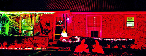 SPOTLIGHT ON HALLOWEEN