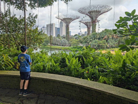 GREEN SPACE In Singapore, visitors are overwhelmed by the diversity of plants and bright colors — even in indoor spaces. | DAVID PAFFORD PHOTO