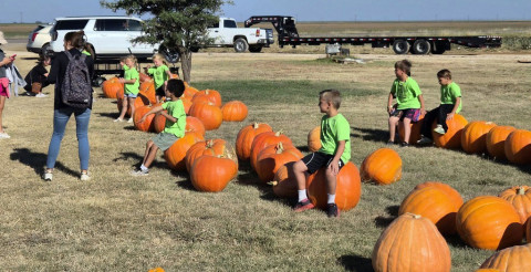 PUNKIN DAZE