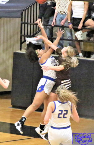 BI-DISTRICT BASKET