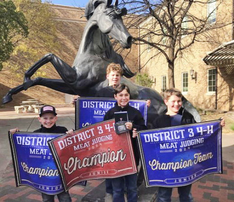 TEAM WINNERS The Junior 4-H Meat Judging team of Calvin Hays Chapman, Rylee Foster and Henry Chapman won Grand Champion last week. | COURTESY PHOTO