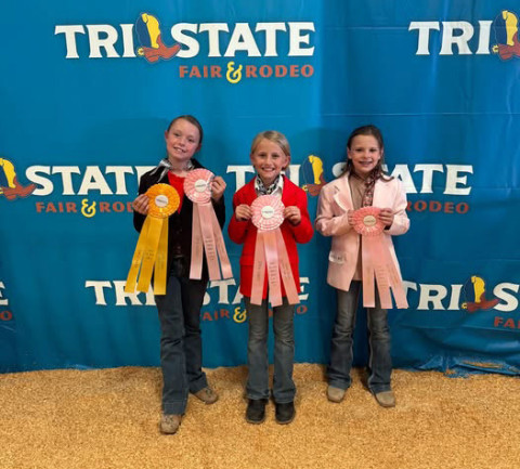 DICKENS COUNTY 4-H JUNIOR HORSE JUDGING TEAM of Steely, Timberlyn and Gentry won 4th place at the Tri-State Fair in Amarillo.