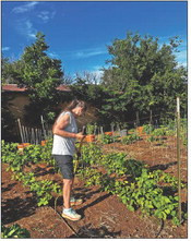 Kent Community Garden to ready soil for 2026 season