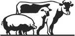 2024 Dickens Junior Livestock Show to kick off Jan. 19 with ‘royalty’ to be crowned