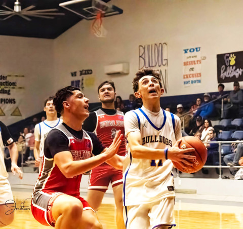 Bulldogs pick up three wins in tournament play