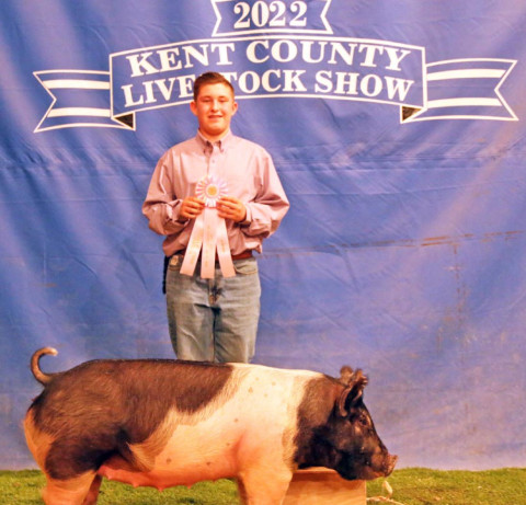 AREA LIVESTOCK SHOW COVERAGE UPDATES