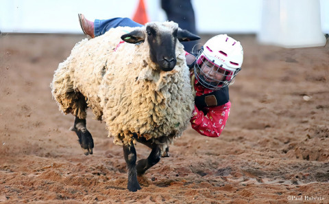 103 YEARS OF TRADITION The Motley-Dickens Old Settlers Reunion and Rodeo is slated to take place in Roaring Springs August 27-29, with ranch rodeos, parade, live music and dancing, a reunion which recognizes those coming back home, vendor booths and much more. | FILE PHOTO, PAUL ROBERTS