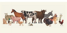KENT COUNTY STOCK SHOW
