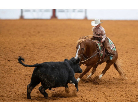 Steeley Smith on Rogue Catalyst at the FWSSR
