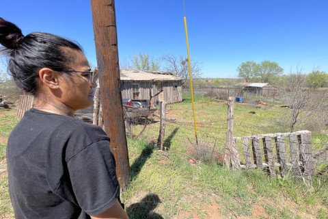 PETS PERISH Spur resident Gerlinda Dennis called for help when she learned that her pet pigs were being attacked by dogs. | THE TEXAS SPUR