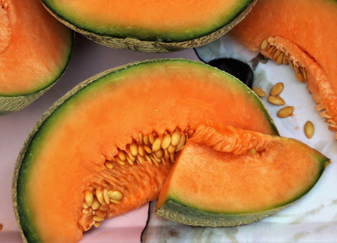 Harvesting just-right cantaloupes