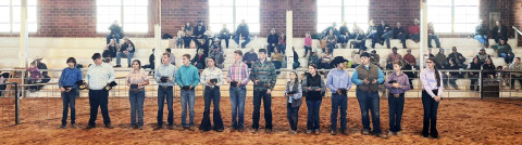 SPOTLIGHT ON KENT LIVESTOCK SHOW