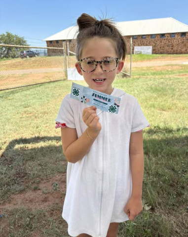 Dickens Co. 4-H holds ‘Popsicles at the Pool’