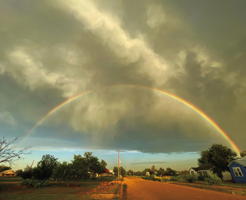 SPOTLIGHT ON SUMMER SKIES