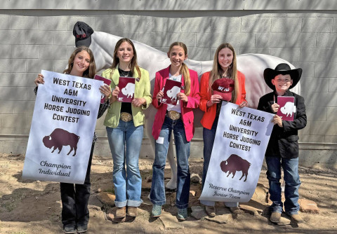 DICKENS 4-H HONORS