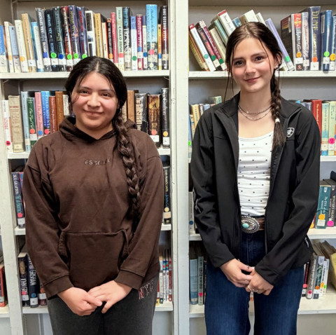 State achievement: Area students to compete at State UIL Academic meet May 18-19