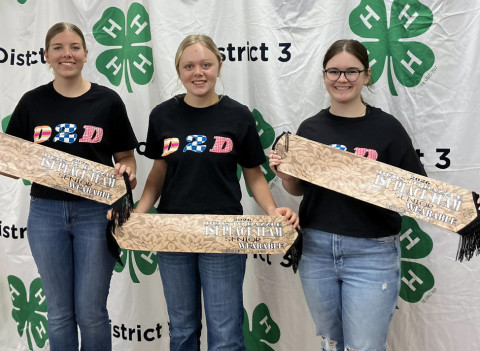 KENT 4-H HONORS
