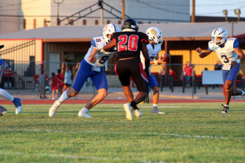 Bulldogs stung by Hornets