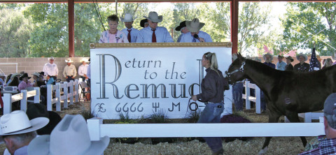 RETURN TO THE REMUDA