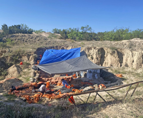 Public invited to visit Roland Spring dig site in Scurry County July 3