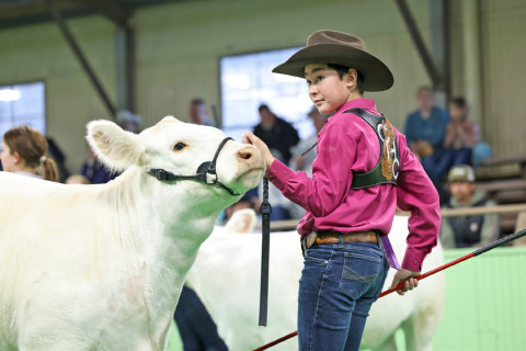Dickens County 4-H active in community service, competitions