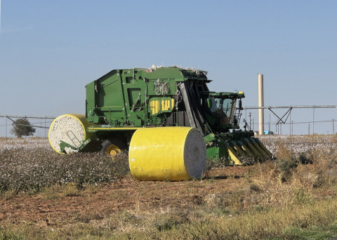 COTTON CROP across the Panhandle, South Plains and Rolling Plains is improved somewhat over past two years. Shown is harvest in progress last week at Rhineland, on the Rolling Plains in Knox County. | THE TEXAS SPUR