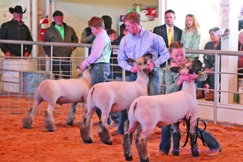 SPOTLIGHT ON KENT COUNTY STOCK SHOW