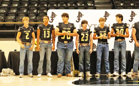 SPOTLIGHT ON MEET THE JAYBIRDS AND LADY JAYS