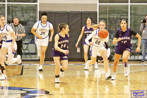 	Spurettes win Area championship 
