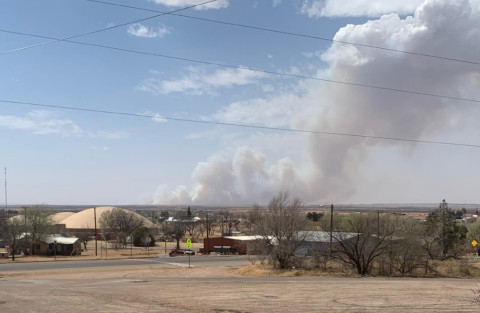 Dickens county grass fire burns 2,300 acres; houses and livestock saved
