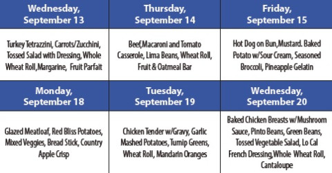 Spur Senior Citizens Menu