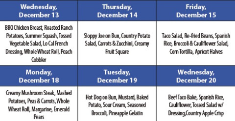 Spur Senior Citizens Menu