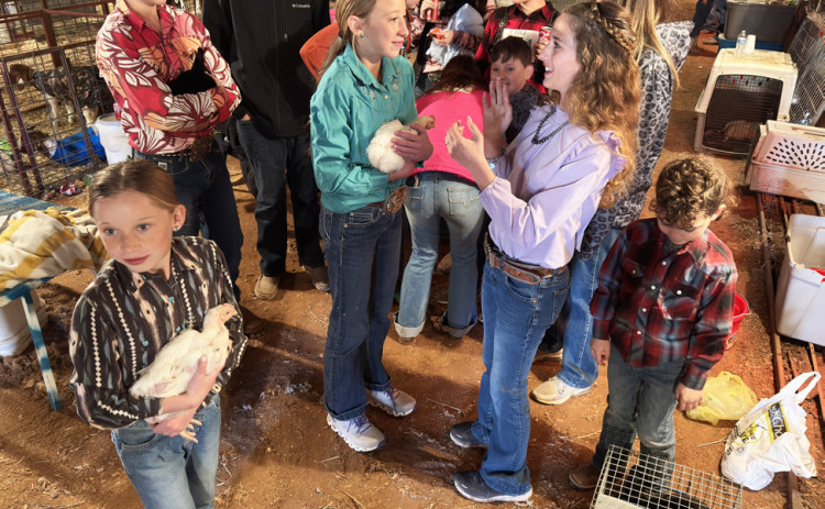 DICKENS LIVESTOCK SHOW