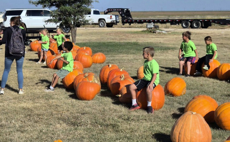 PUNKIN DAZE
