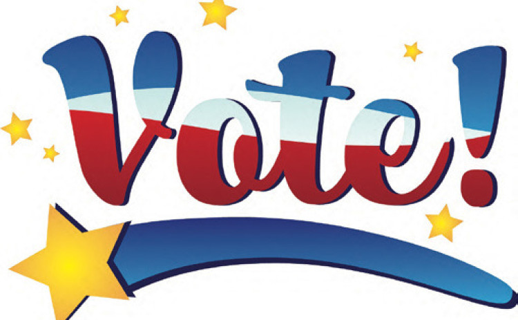 Ballots set for city councils, school boards Spur city council writeup