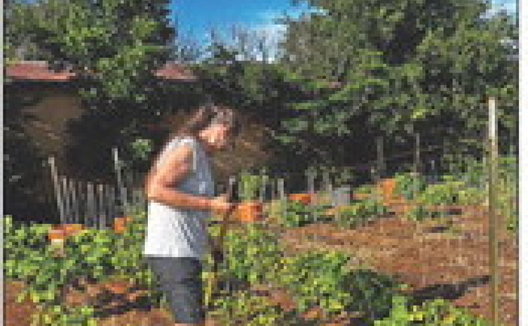 Kent Community Garden to ready soil for 2026 season