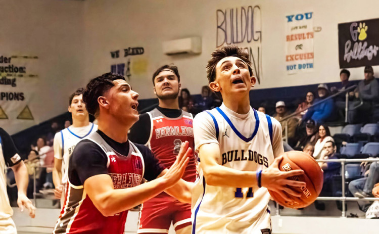 Bulldogs pick up three wins in tournament play