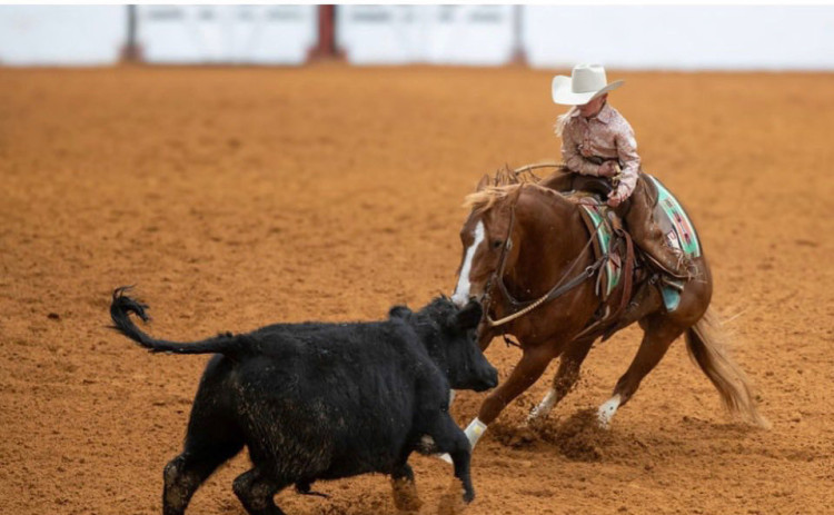 Steeley Smith on Rogue Catalyst at the FWSSR