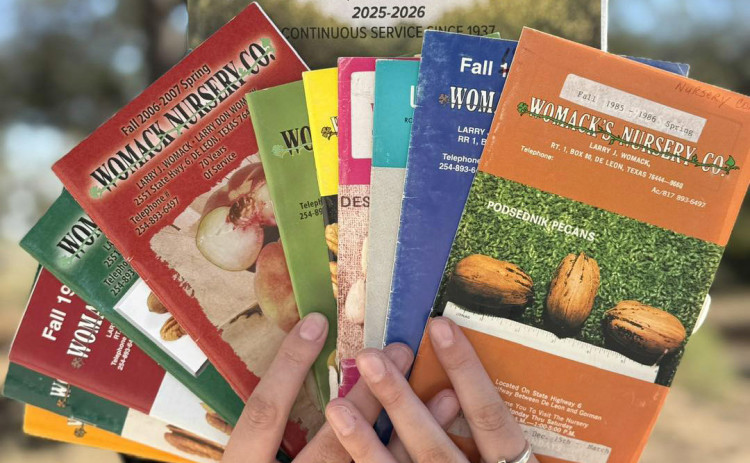 Garden planning for the new Year