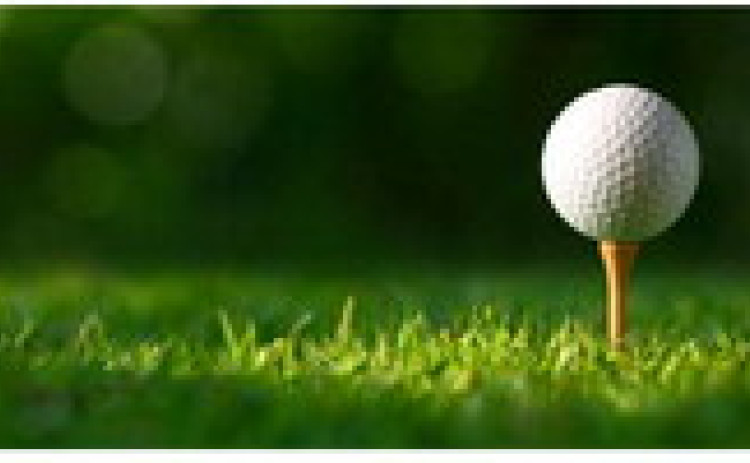 16 players for last week's scramble