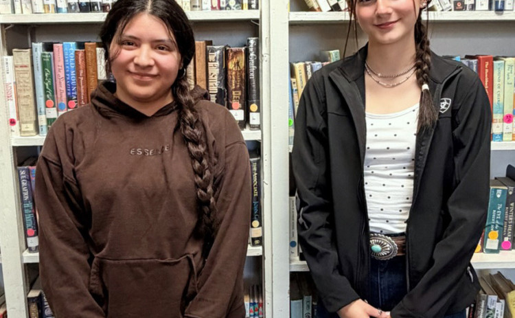 State achievement: Area students to compete at State UIL Academic meet May 18-19