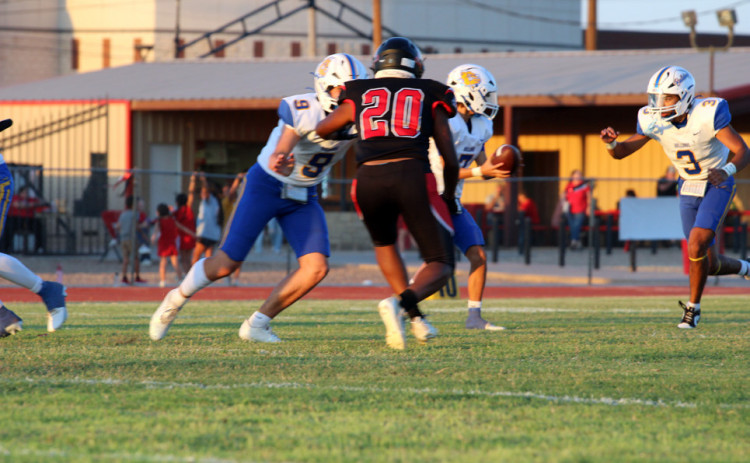 Bulldogs stung by Hornets