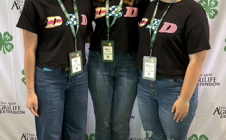 DUDSTODAZZLE Ella Long, Lainey Baldridge and Camryn Arnold competed in Duds to Dazzle. | COURTESY PHOTO