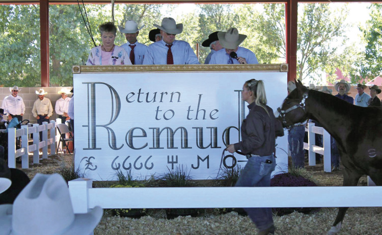 RETURN TO THE REMUDA