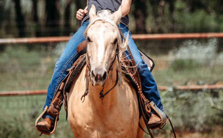 MADDEE FOSTER, RODEO QUEEN CANDIDATE 2026 | LINDSAY HUMPHREYS PHOTOGRAPHY